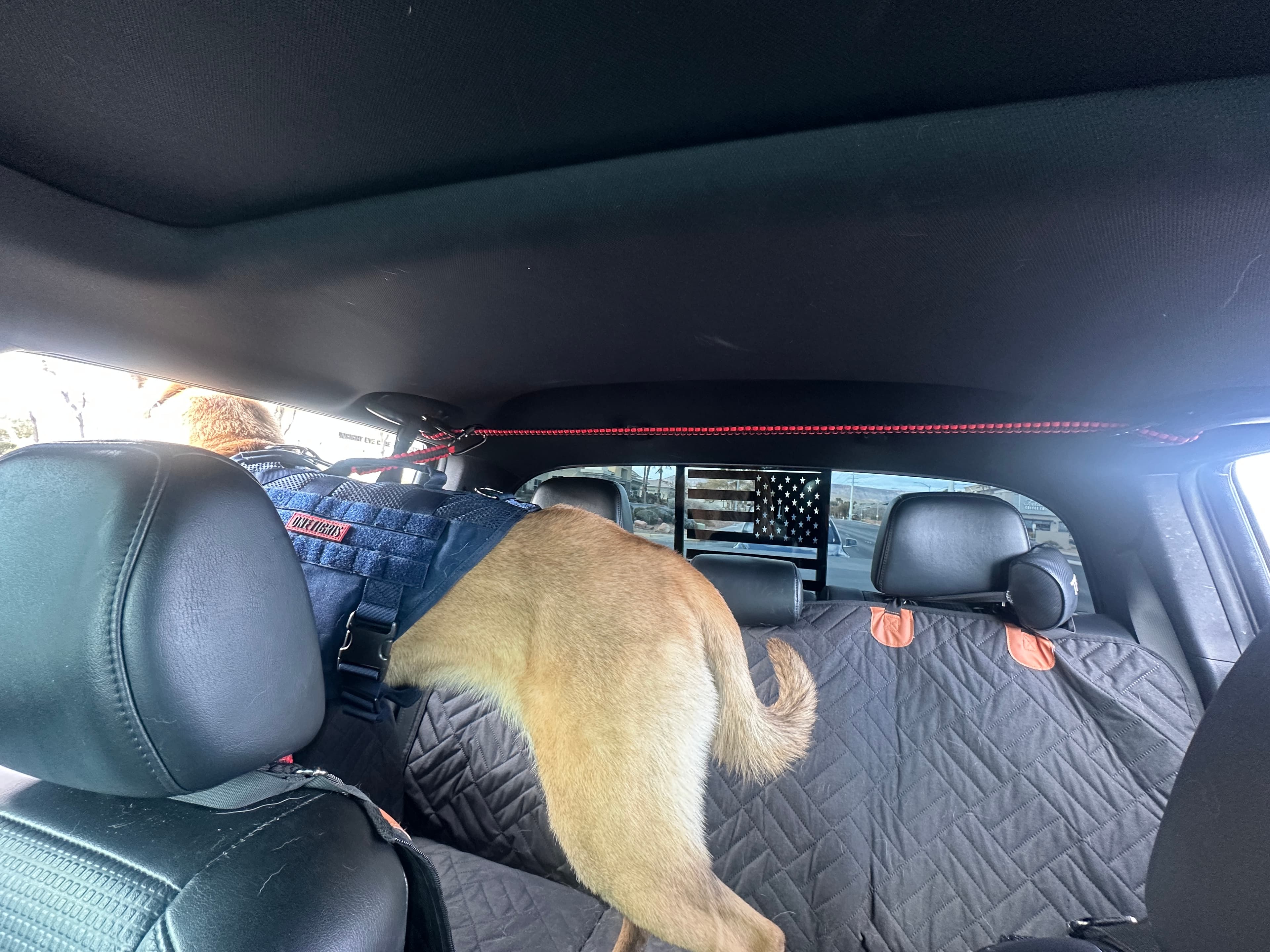 Paracord Backseat Zip Line For Pets